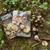 Power of Plants Magazine - Single Issue - Image 3