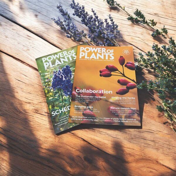 Power of Plants Magazine - Single Issue