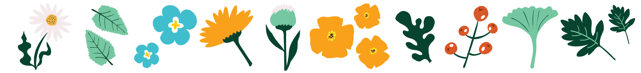 PoP 25 Flowers