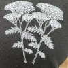 Herbal Heroes Yarrow T-Shirt - Image 2