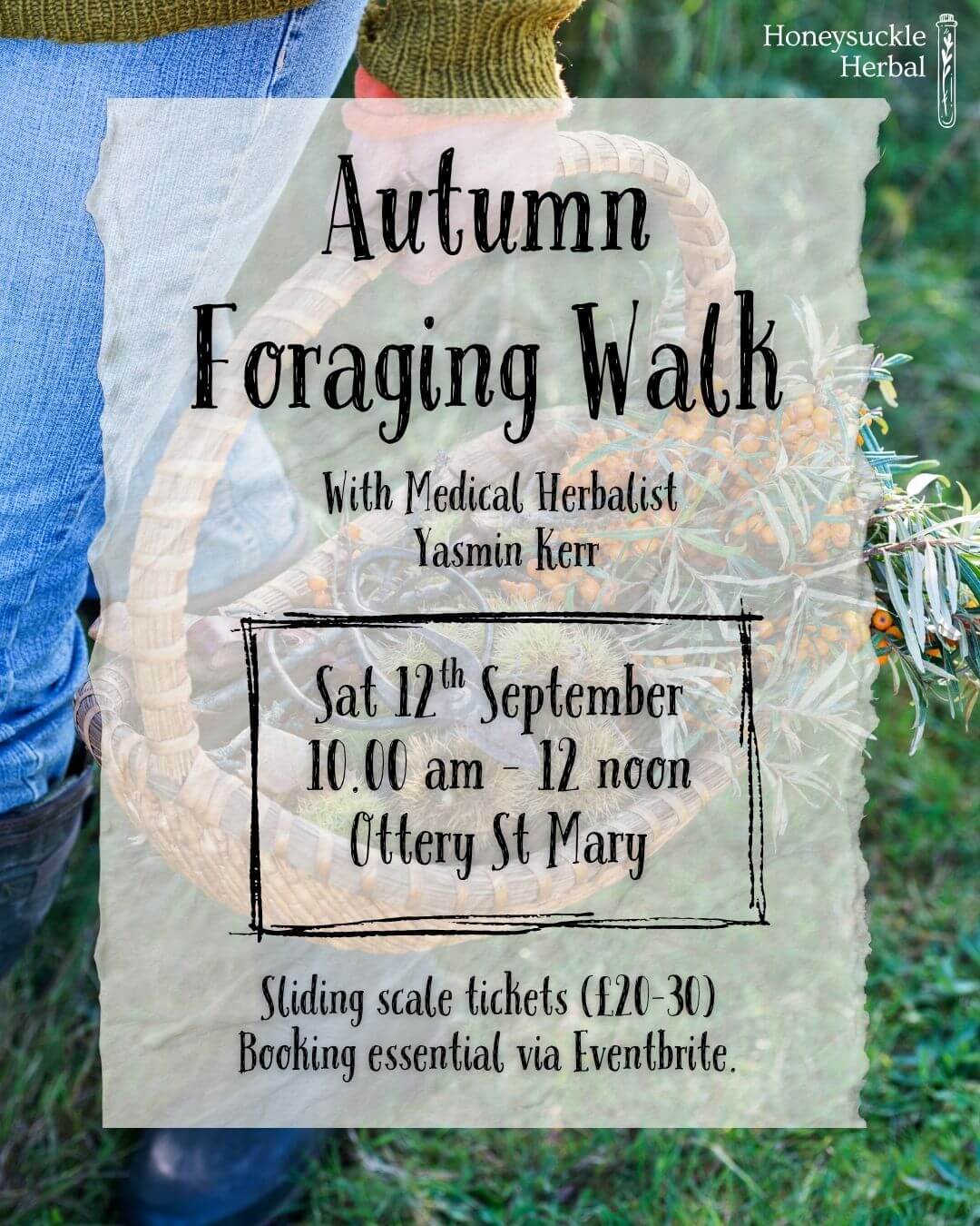 Autumn Foraging Walk
